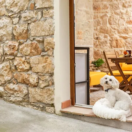 Climbing House Apartment *